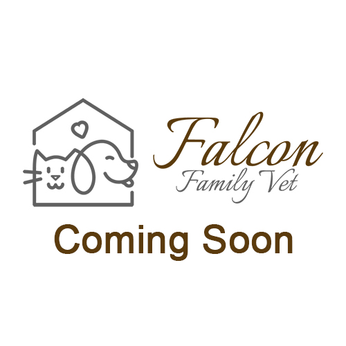 coming-soon coming-soon
