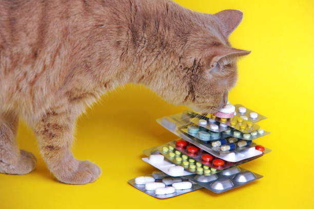 pharmacy-service pharmacy-service
